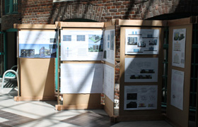 IMG 7342