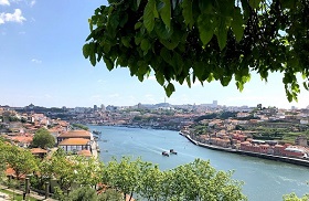 IMG 7342