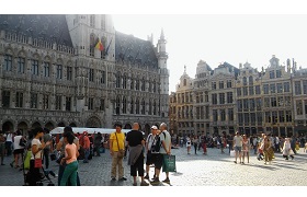 IMG 7342