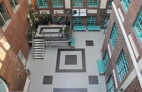 IMG 7342