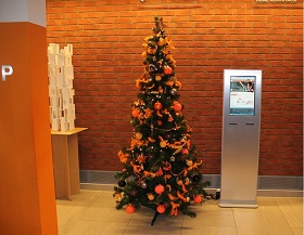 IMG 7342