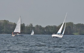 IMG 7342